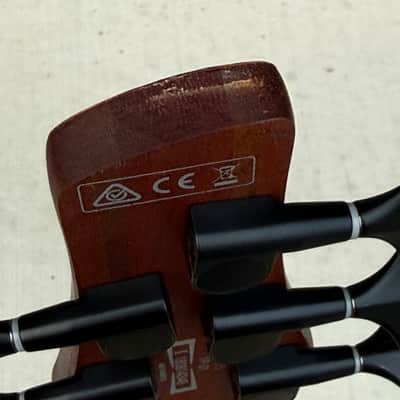 Ibanez SR875 5-String Bass, Autumn Leaf Gradation image 5