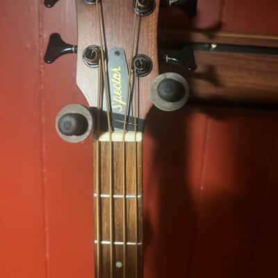Spector Timbre 4 Acoustic Bass - Natural image 5
