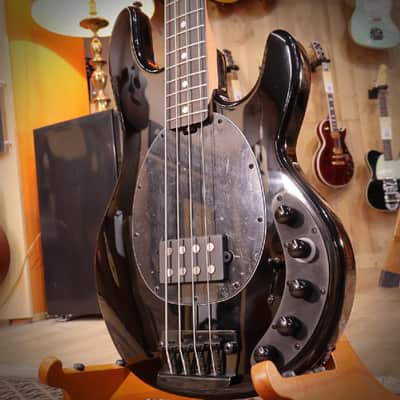 MTD Kingston ZX 5 String Bass - Translucent Black, Maple Fretboard