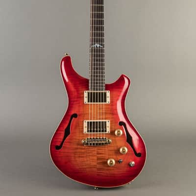 Baldacci Bighorn Hollowbody 2020, Sunburst image 2
