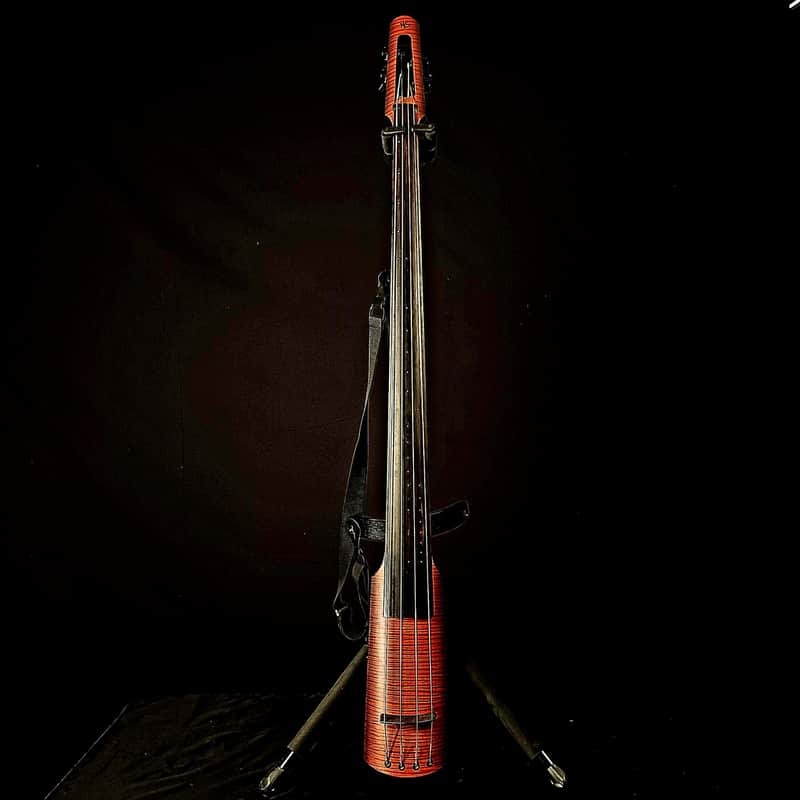 NS Design NXT4 Double Bass image 1