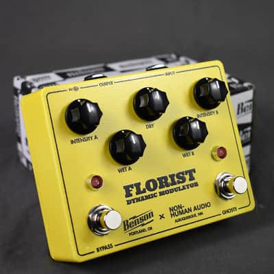 Immagine Benson Amps Florist (Yellow) - 11