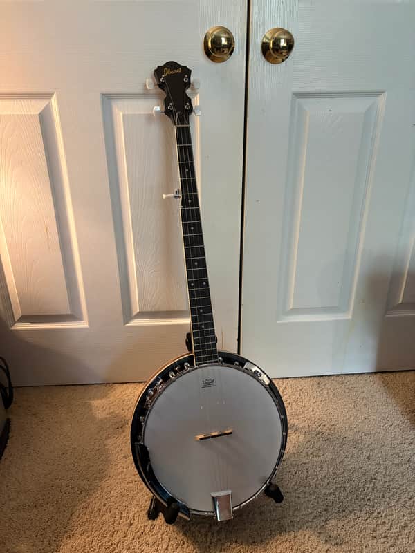 Ibanez B50 5-String Resonator Banjo 2019 - Natural image 1