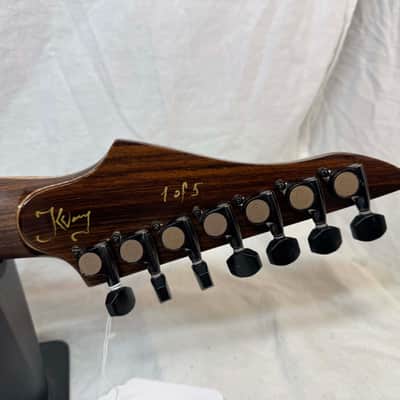 ViK Guitars Left-Handed Lefty Nolly's Signature Duality 7 7-string Guitar with Case 2014 image 10