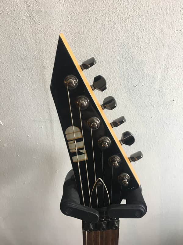 ESP LTD M-200SR Skulls and Roses Electric Guitar | Reverb