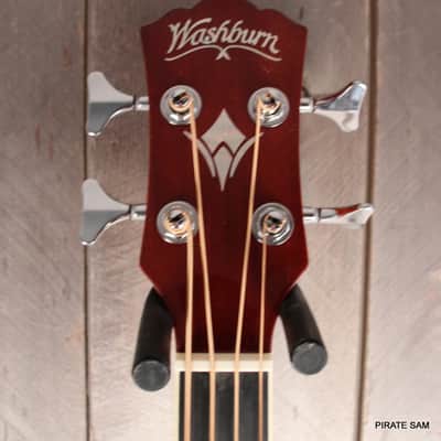 Washburn AB5K Custom Art 4-String Acoustic Bass "Spikes of the South West " w/gig bag image 5