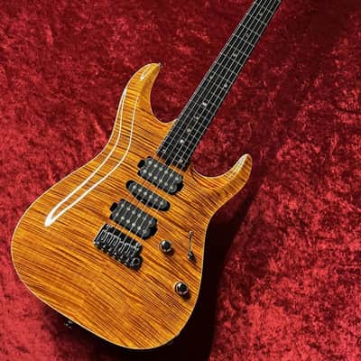 T's Guitars DST-24 Carved Top [Made in Japan] [GSB019] image 2