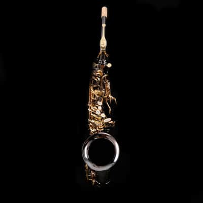 Selmer ''La Voix II'' SAS411B Alto Saxophone, Black Lacquer - NEW MODEL! image 5
