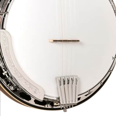 Gold Tone OB-150EF 24-Fret Orange Blossom Banjo w/ Case, New, Free Shipping image 5