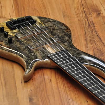 F Bass BN5 - Buckeye Burl | Reverb