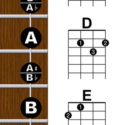 Baritone Ukulele Fretboard Notes & Chord Chart Poster 11x17 Beginner Easy Instruction Learn Book How image 4