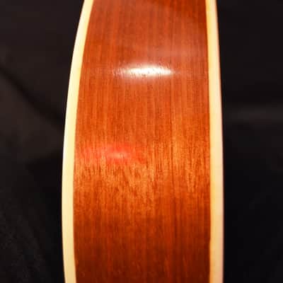 Ventura Mandolin – Excellent Condition! image 11