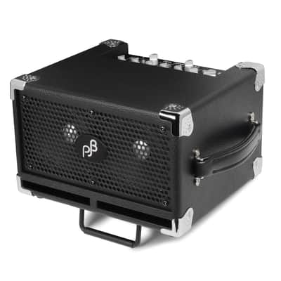 Phil Jones BG-120 Bass Cub Pro 120-Watt 2x5" Bass Combo in Black image 3
