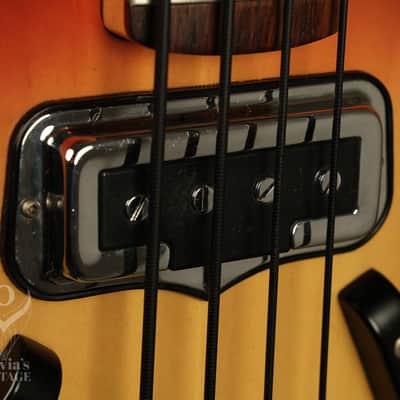 Immagine 1967 Fender Coronado Bass I Sunburst - 5
