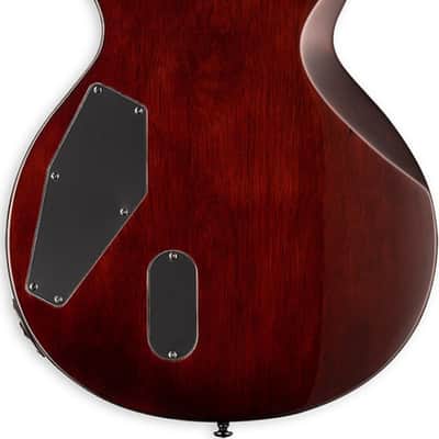 ESP LTD EC-1001 Electric Guitar, Ebony Fingerboard, Tiger Eye image 3