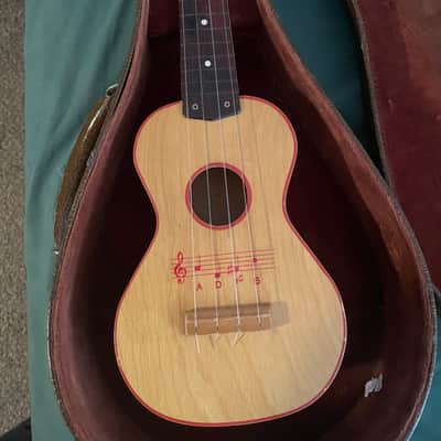 Donner DUB-1 acoustic electric ukulele bass | Reverb