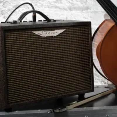Ashdown Woodsman Classic | 40W 1x8 Acoustic Guitar Combo. New with Full Warranty! image 6