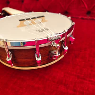Gold Tone BUT Tenor Banjo Ukulele – Pro Setup – w/ Hard Case - Banjo Ukulele image 10