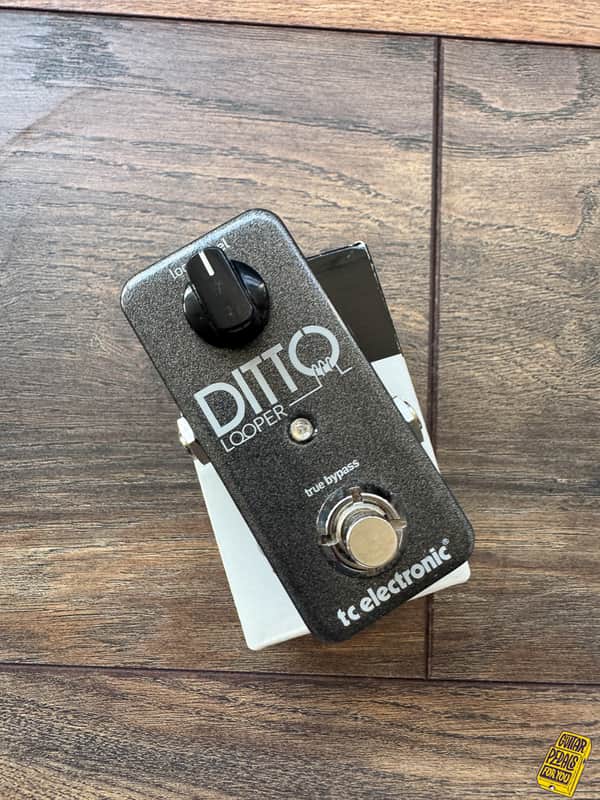TC Electronic Ditto Looper image 1