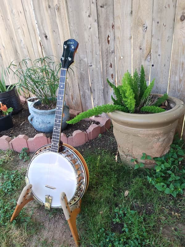 Vega Tenor Banjo 1959 image 1