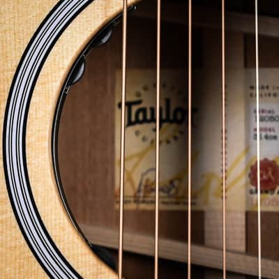 Taylor Next Generation 314ce w/ Sitka Spruce Top & Sapele Back and Sides Acoustic/ Electric Guitar- Natural 2026 (1205056008) image 6