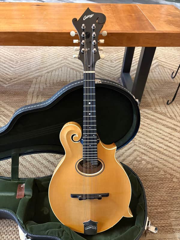 Collings MF O - Honey Amber image 1