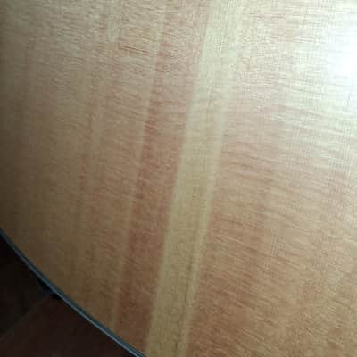 Peavey DW-2 Dreadnought Acoustic/Electric Guitar with Built-In Tuner 2010s - Natural image 5