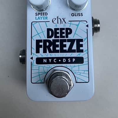 Electro-Harmonix Pico Deep Freeze Sound Retainer | Reverb
