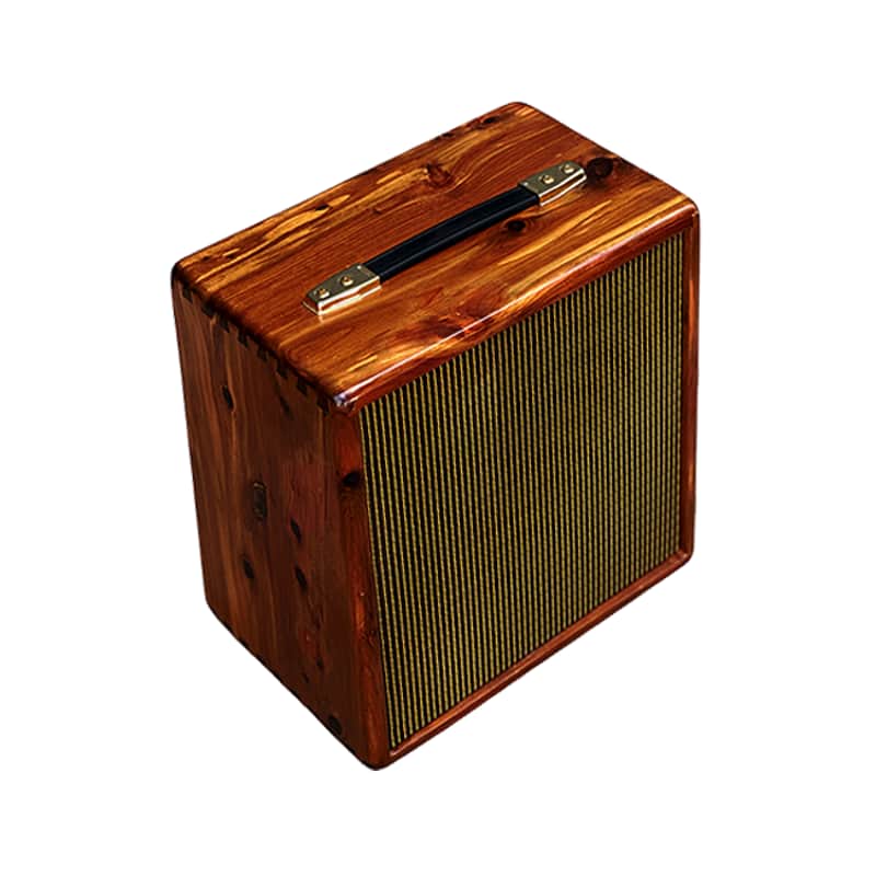 Unique Ashen "Pinto" 12" Custom Handmade Guitar Cabinet Enclosure (empty) image 1