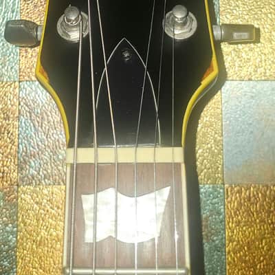 LTD EC-256 Distressed w/Ernie Ball Custom Gauge Strings and Strap image 5