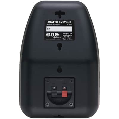 BIC America DV52SI Adatto Indoor/Outdoor 125W Bookshelf Speakers image 4