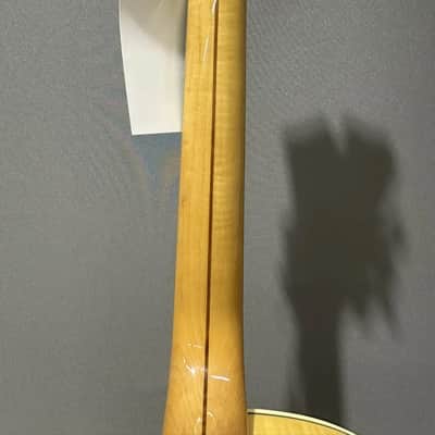 Two Semi-Hollow D'Angelico and One 57 Retro Fender Amp Combo image 12