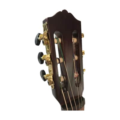 6 strings SONG Brand Maestro 1/4 cello,guitar head, very powerful sound #14368 image 7