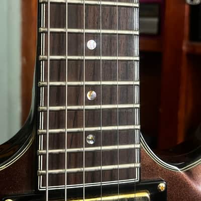 Greg Bennett Torino TR-2/MBC – Metallic Brown – Dual Humbuckers – Duncan Designed image 6
