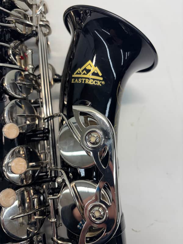 EastRock Black/Golden Alto Saxophone E Flat Sax Full Kit - Black Gold image 1