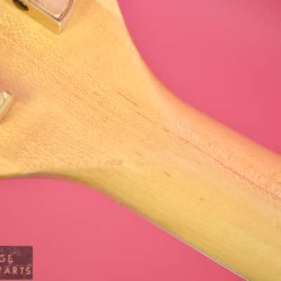 Vintage 1984 Fender D'Aquisto Elite Archtop 1st year example in very rare Blonde! image 20