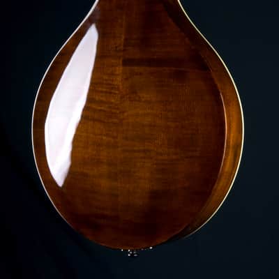 Eastman MD505 A-Style Mandolin Classic Finish NEW image 11