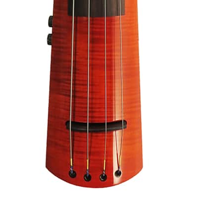 NS Design WAV4 Double Bass Amberburst image 3