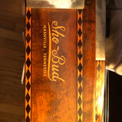 Sho-Bud ldg s-d 10 string 1970-1990 ? - green image 11