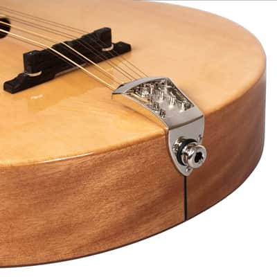 Gold Tone BZ-500: Irish Bouzouki Mandolin with Pickup and Case image 11