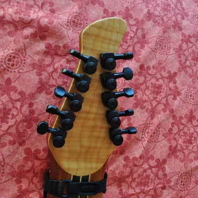 Warr Guitars Artist 10 ***FINAL REDUCTION FOR QUICK SALE*** image 5