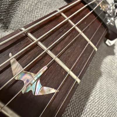 Immagine PRS Custom 22 Stoptail 10-Top 2002 - 2014 - Tortoise Shell - 11