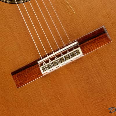 2008 Contreras II Double Tapa, Cocobolo/Cedar image 14