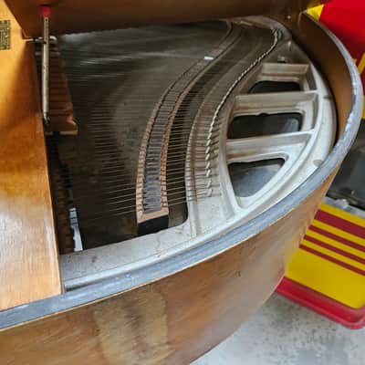 Wurlitzer Student Butterfly pre war - natural image 7