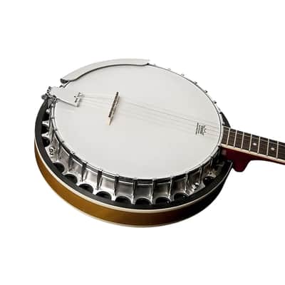 Washburn B9-WSH Americana Series Cast Aluminum Tone Ring Mahogany Neck 5-string Resonator Banjo w/Hard Case image 2