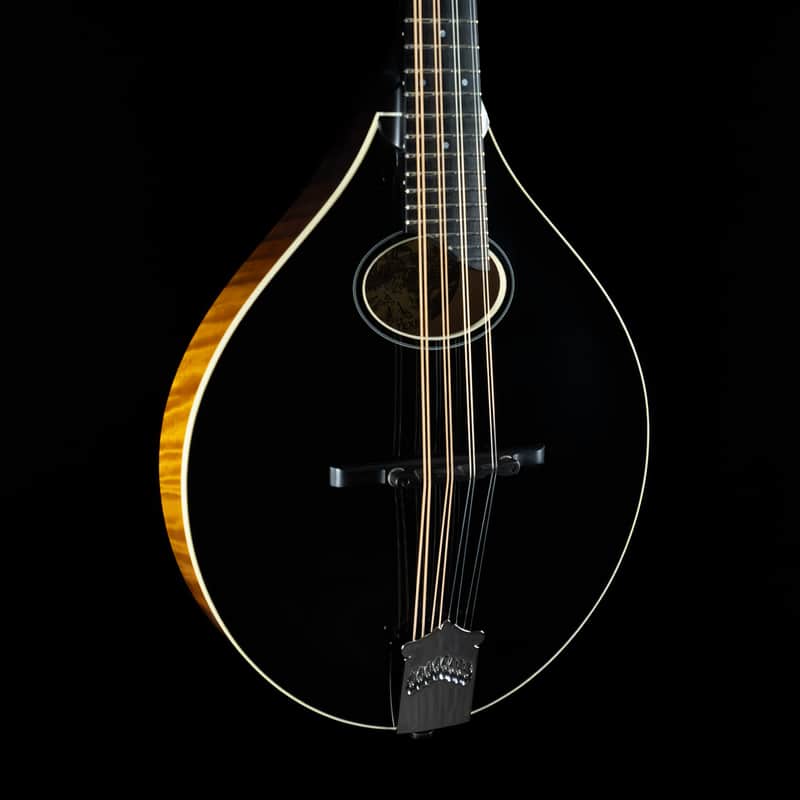 Collings MT-O, Black Gloss Top, Engelmann, Maple - NEW image 1