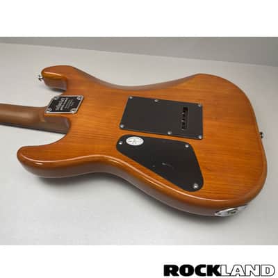 Schecter Traditional Van Nuys Gloss Natural Ash image 16