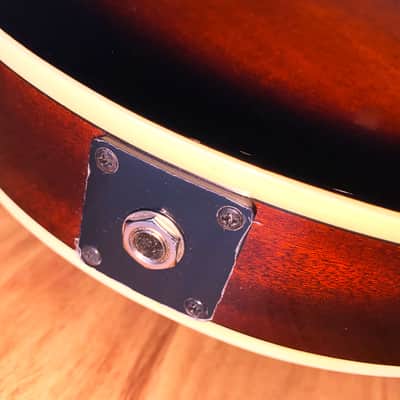 Mandolin 8 String Stunning Vintage Sunburst by Samick Greg Bennett WITH Pickup! image 14