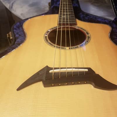 Breedlove C25/R [Master Class] | EIR /German Spruce | Serial No. 5503 | Signed Kim Breedlove image 21
