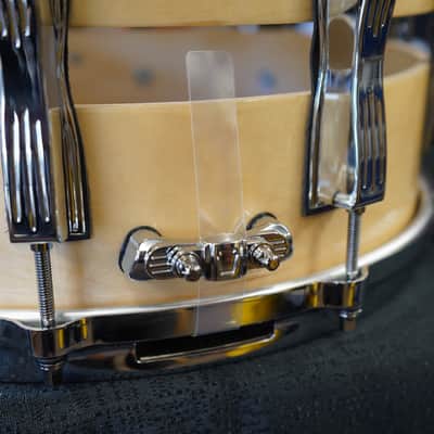 Ludwig USA Classic Maple Slotted Coliseum 8x14" Maple Snare Drum 2025 image 6